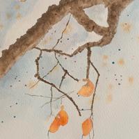 acquerello su carta 300g 100% cotone 