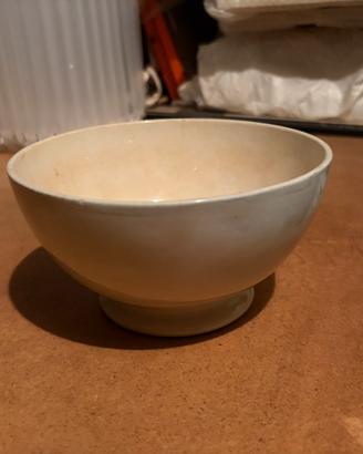 Tazza richard 1920