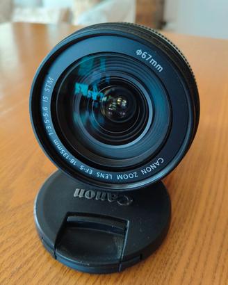 Canon EF-S 18-135mm 1:3.5-5.6 IS STM