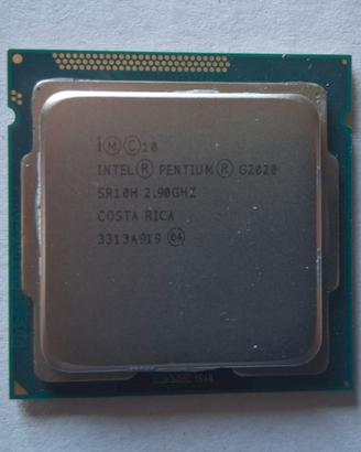 CPU Processore Intel G2020