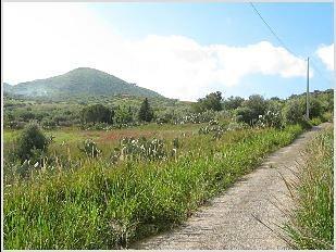 TERRENO in collina - Vista 3