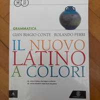 Il nuovo latino a colori - Grammatica