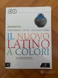 Il nuovo latino a colori - Grammatica
