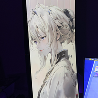Monitor Ultrawide