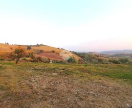 TER. AGRICOLO A APPIGNANO DEL TRONTO