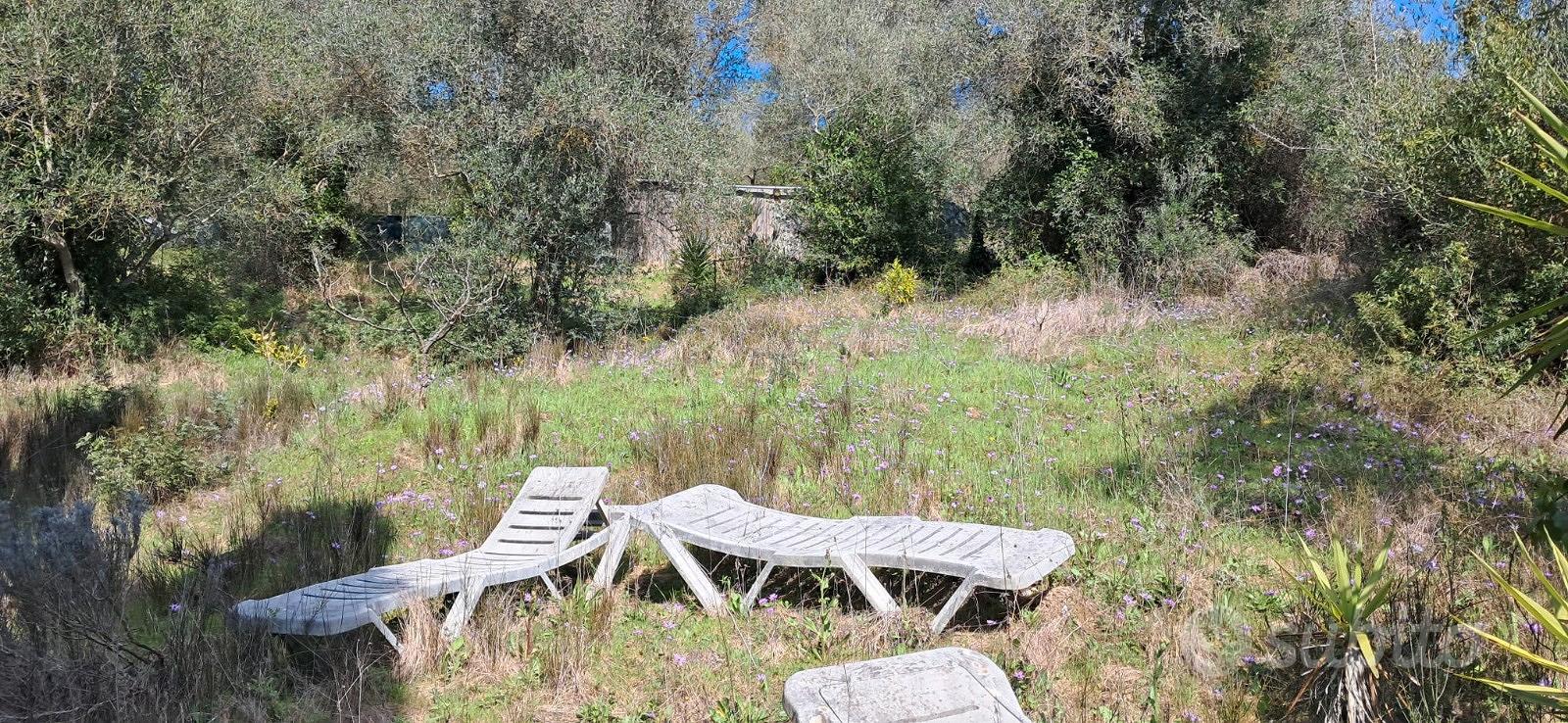Terreno loc.valli Follonica 1800 mq - Vista 6