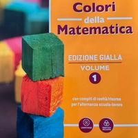 Libro “Colori della Matematica 1 - ediz. gialla”