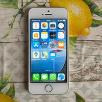 Iphone SE 1^generazione 64GB
