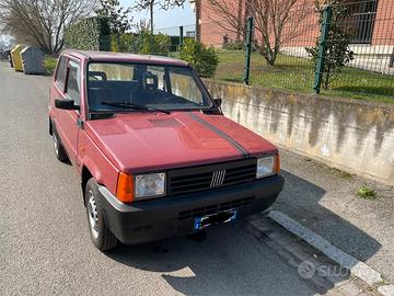 PANDA prima serie Anno 2002