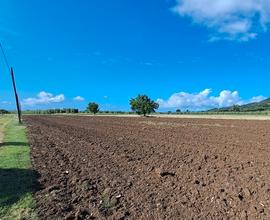 Annesso agricolo con Terreno Suvereto