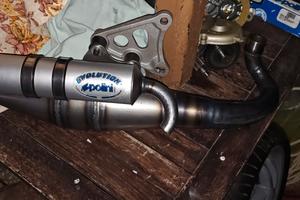 Minarelli Polini Evolution Malossi mhr team 