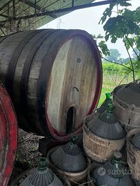 Botti in rovere
