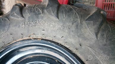 cerchi con gomme polaris