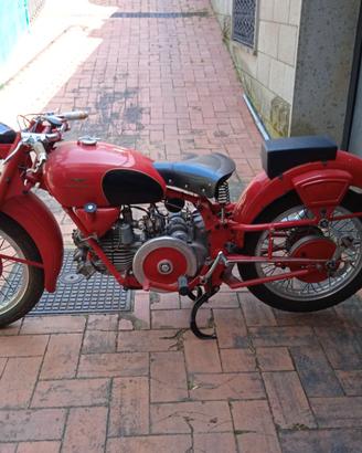 MOTO GUZZI FALCONE 500 SPORT RESTAURATO PERFETTO