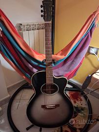 Chitarra acustica Palmer Washburn da battaglia