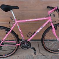 Mountain Bike professionale