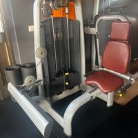 Tecnogym rotary calf