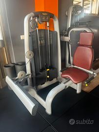 Tecnogym rotary calf