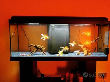 ACQUARIO AQUADREAM 100