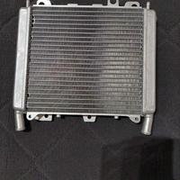 Radiatore acqua beverly 250-500 cruiser tourer