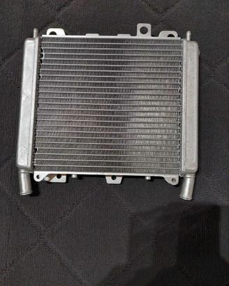 Radiatore acqua beverly 250-500 cruiser tourer