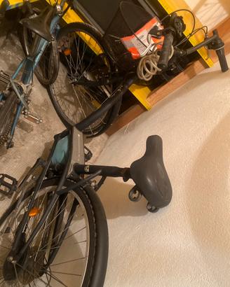 bici passeggio