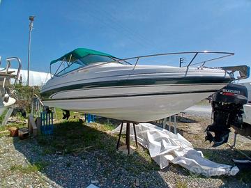 Chaparral american Boats 19.35 Val. Permuta