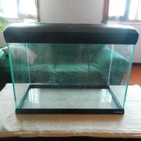 Acquario 70 litri
