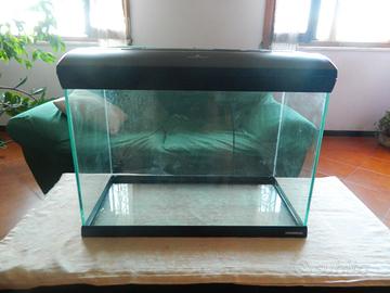 Acquario 70 litri