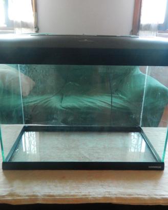Acquario 70 litri