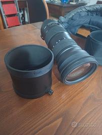 Kit Fotografia Naturalistica - Sigma 150-600 Sport