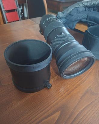 Kit Fotografia Naturalistica - Sigma 150-600 Sport