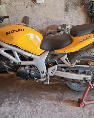 Suzuki SV650 anno 1999