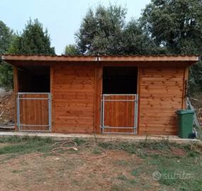 Box per cavalli