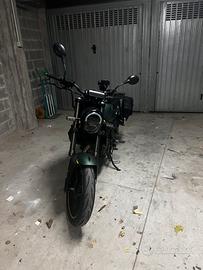 Benelli leoncino 125 2022