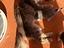 Immagine 6