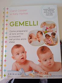 gemelli libro 