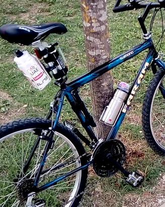 Mountain bike Faram accessoriata 