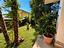 Immagine 28