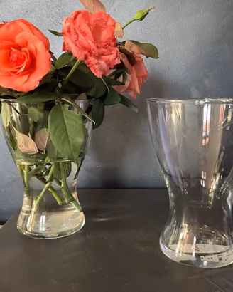 4 Vasi per Fiori in Vetro Trasparente – IKEA e De