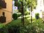 Immagine 18