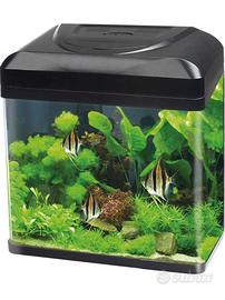 Acquario
