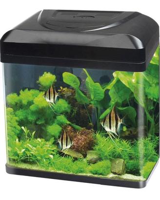 Acquario
