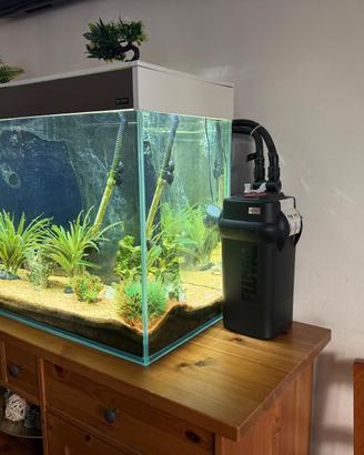 acquario 