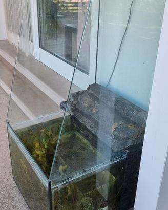 acquario esterno con cascata