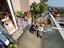 Immagine 24