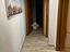 Immagine 13
