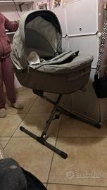 trio inglesina aptica