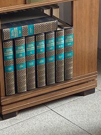 Enciclopedia universale Larousse Rizzoli