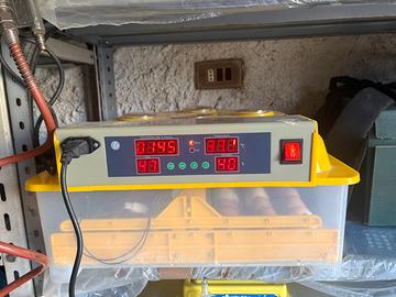 Incubatrice 56 uova automatica